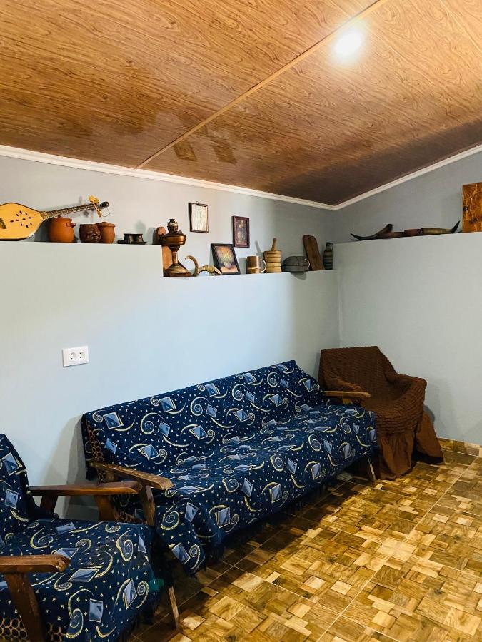 Mamuka'S Guesthouse Udabno Eksteriør bilde