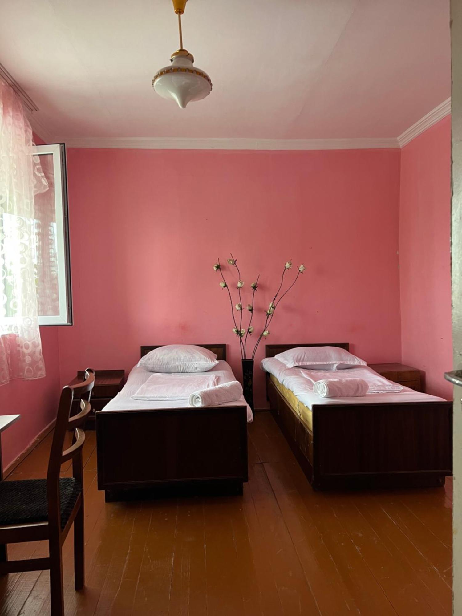 Mamuka'S Guesthouse Udabno Eksteriør bilde